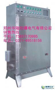 BSG-G防爆不锈钢配电柜（IIB级）选型与应用全指南